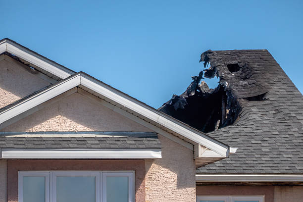 Top rated local Fire Damage Removal specialists in Twinsburg, OH